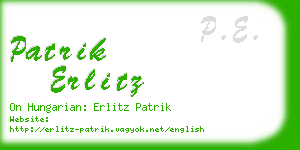 patrik erlitz business card
